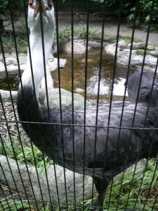 2009061714560000.jpg